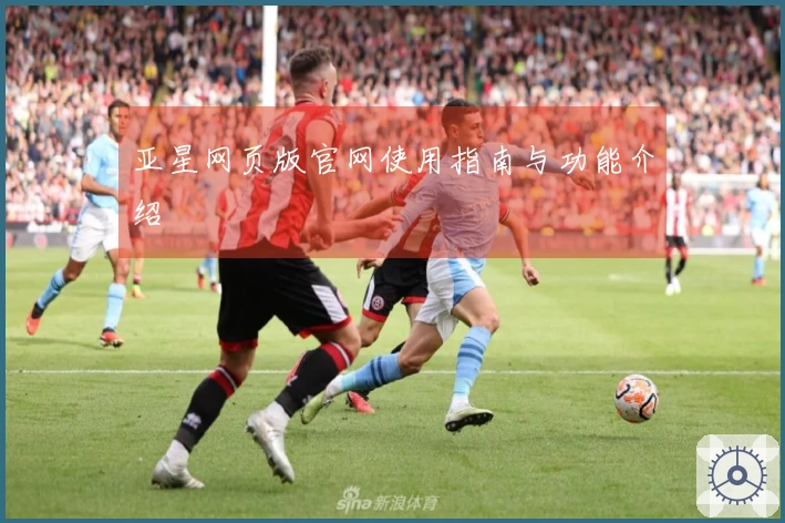 亚星网页版官网使用指南与功能介绍