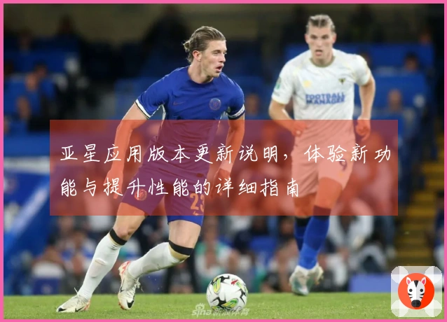 亚星应用版本更新说明，体验新功能与提升性能的详细指南