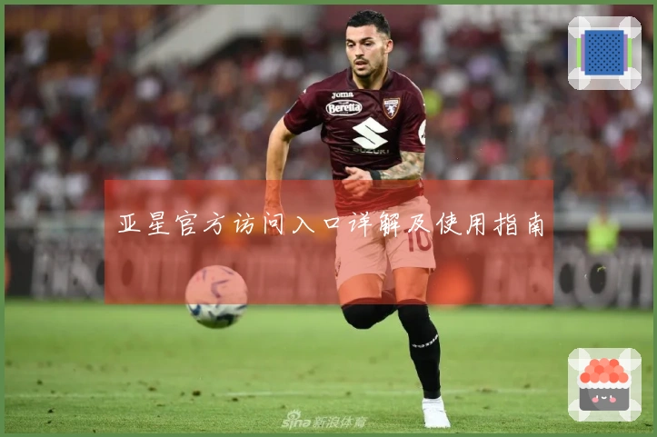 亚星官方访问入口详解及使用指南