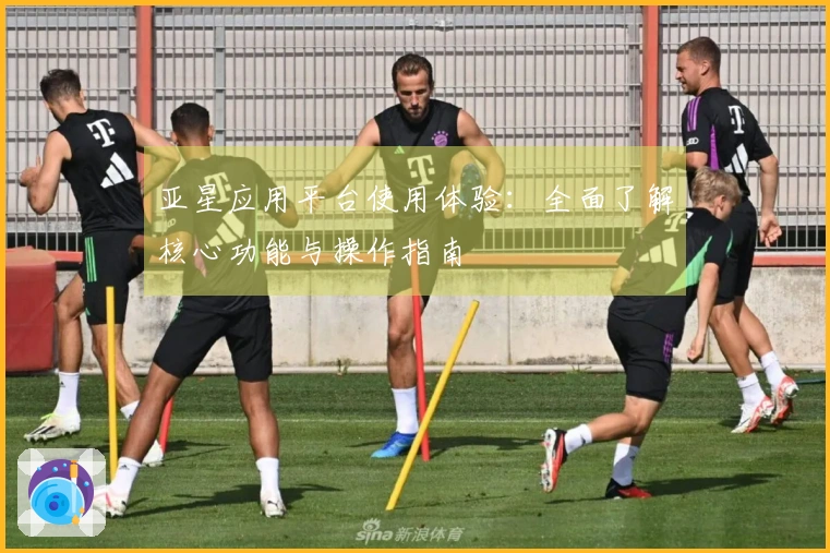 亚星应用平台使用体验:全面了解核心功能与操作指南