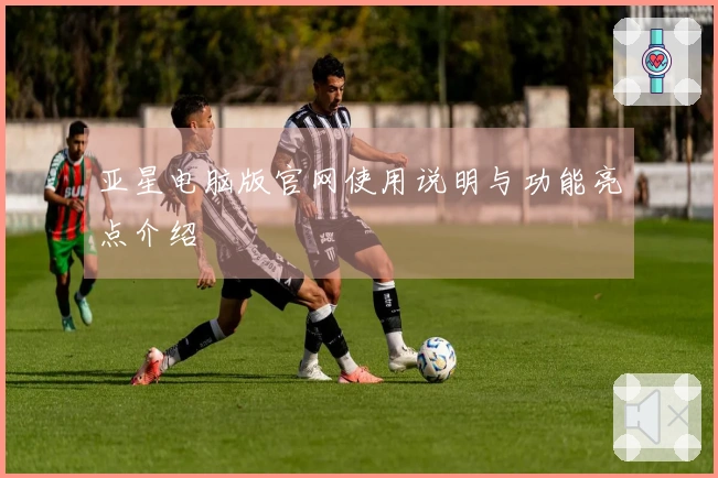 亚星电脑版官网使用说明与功能亮点介绍