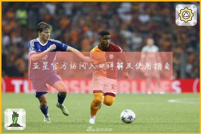 亚星官方访问入口详解及使用指南
